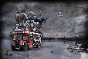 THE LAST STOP